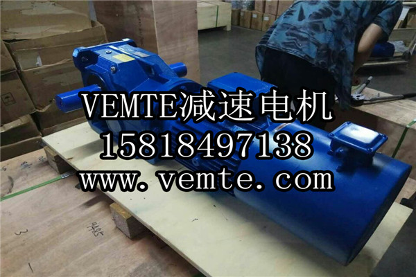 VEMT減速器電機生產廠家 (1)